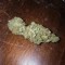 Cali Kush